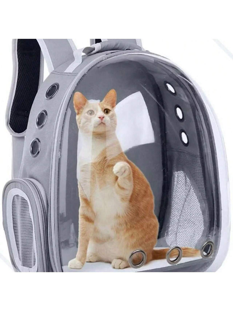 Mochila Pet Cães Gatos Visão Panorâmica Astronauta Acrílico